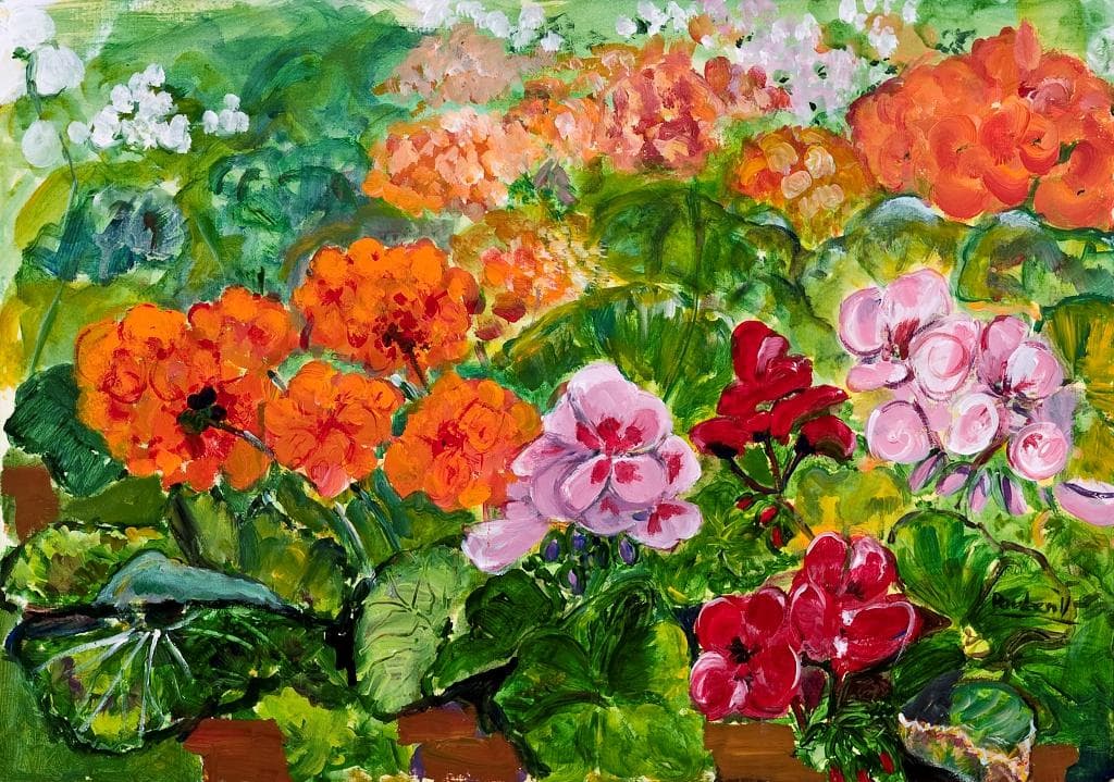 Giraniums