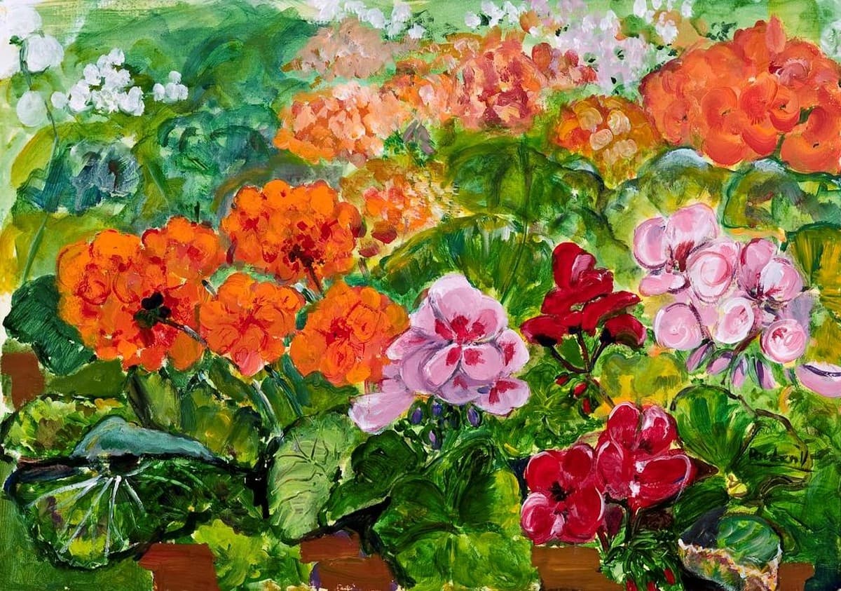 Giraniums